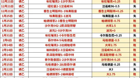 申花签下巴西足球新星米内罗，转会金95万美元